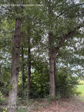 Land, McComb, MS