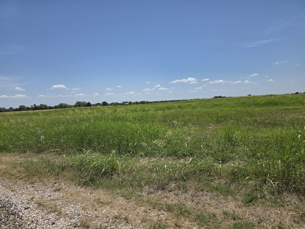 Picture 20