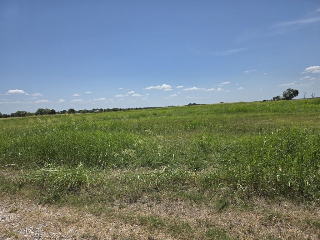 Picture 24