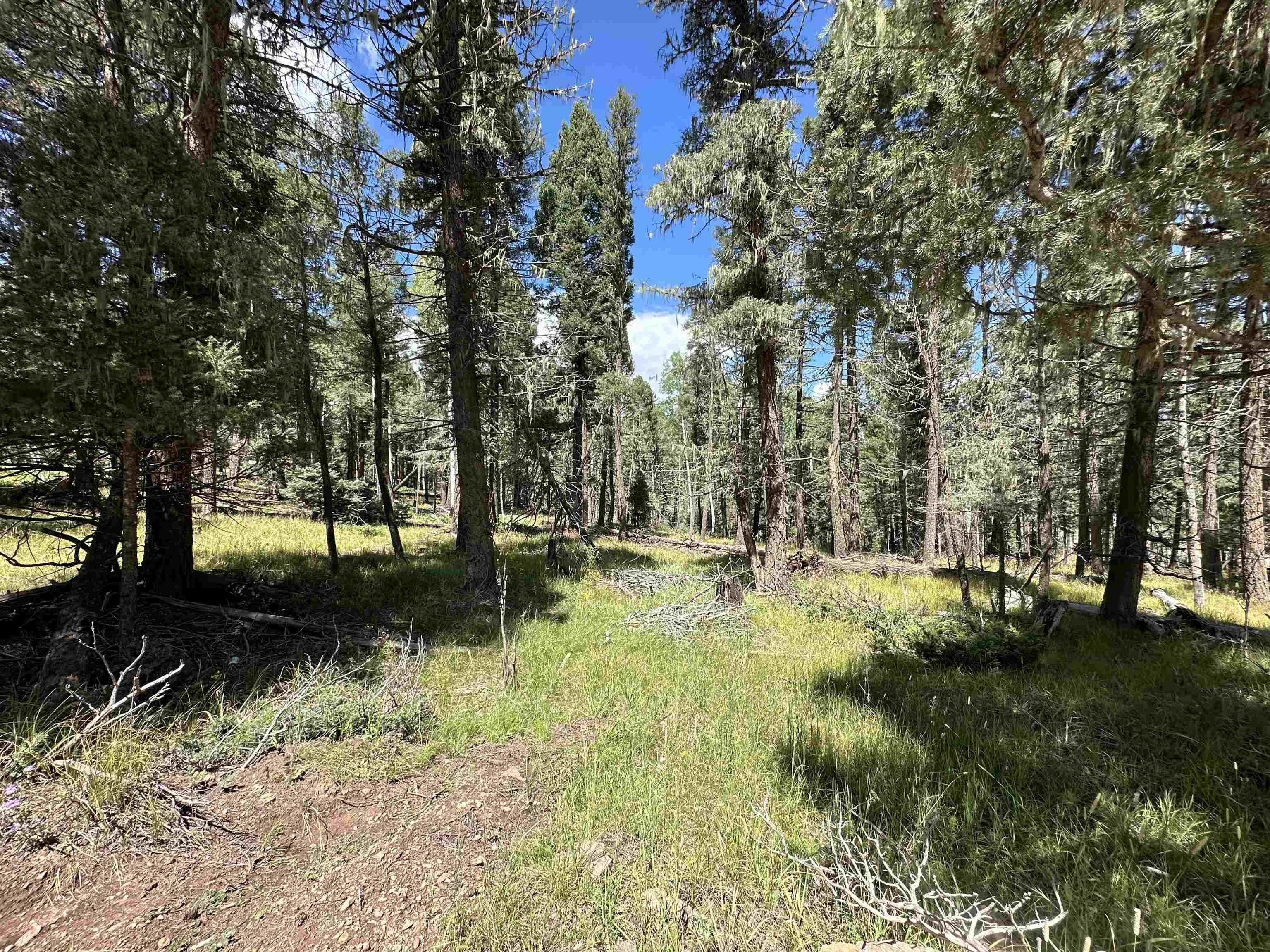 Land Near Monte Verde Lake