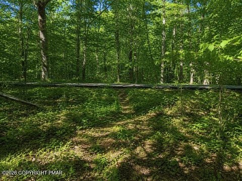 15 Acres of Land in Henryville