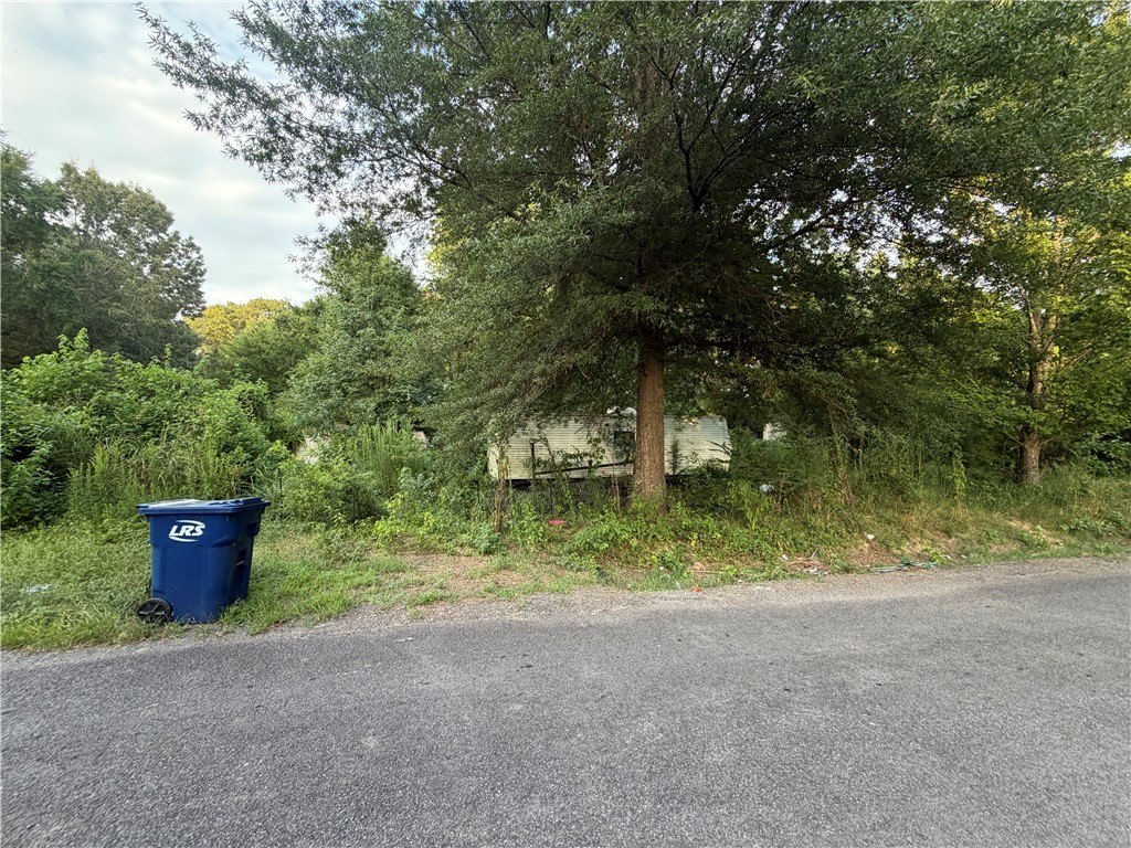 Picture 8