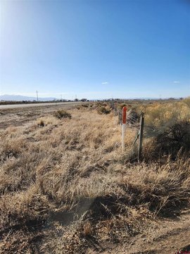 40 Acres of Alamosa Land
