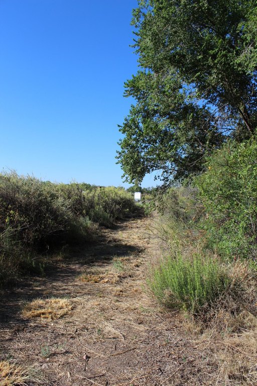 Picture 9