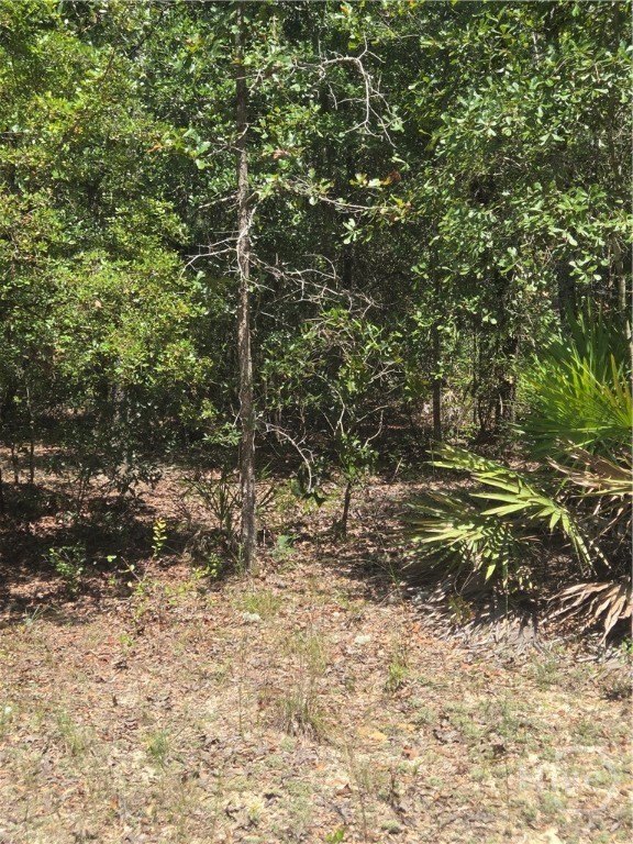 Two Acres of Raw Land