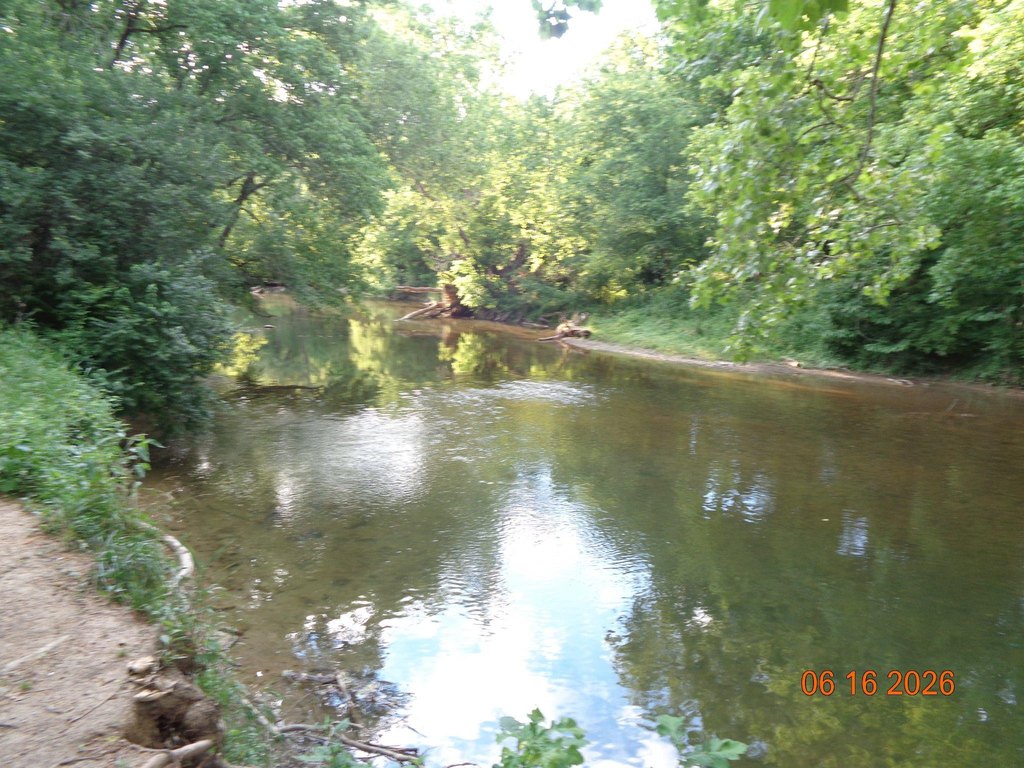 Picture 4