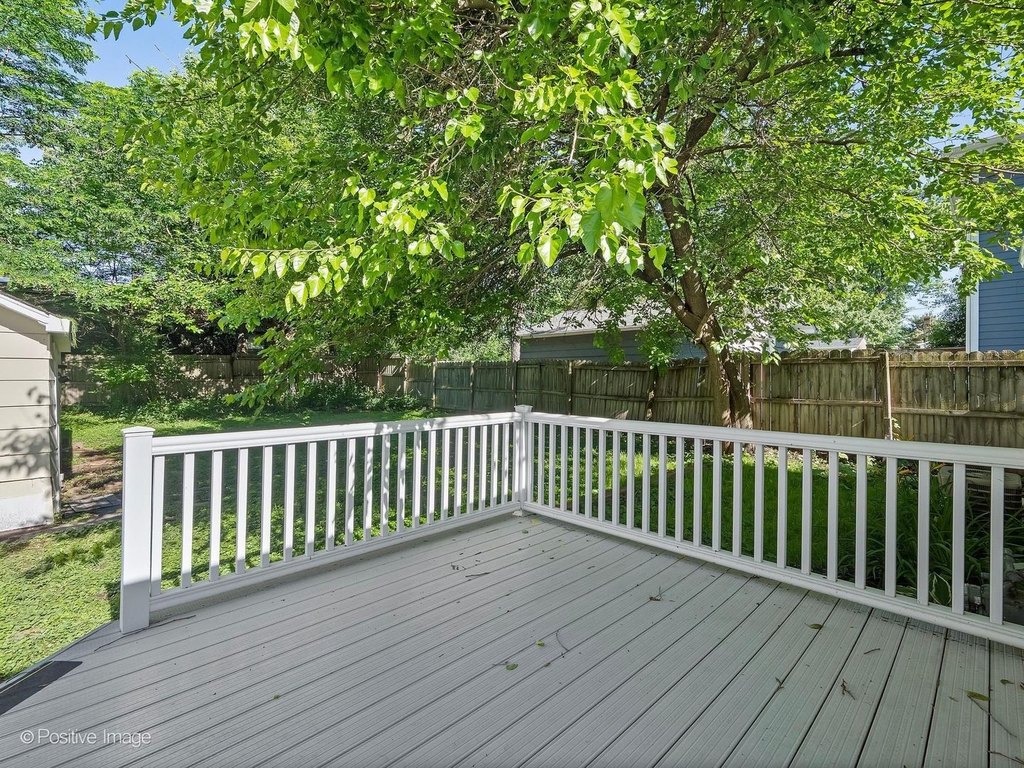 Picture 14