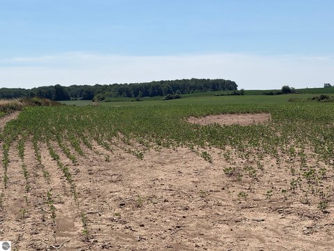 Commercial Zoned Land with Multi-Family Portion