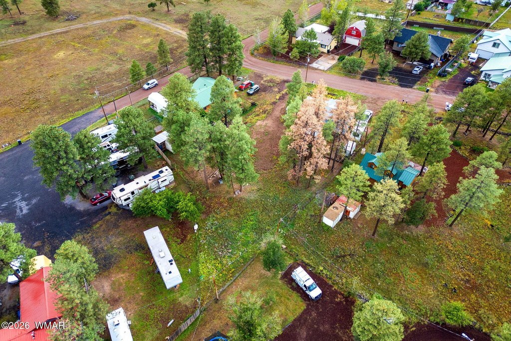 Picture 14