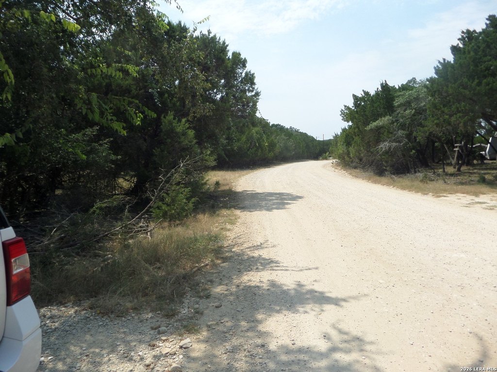 Picture 10