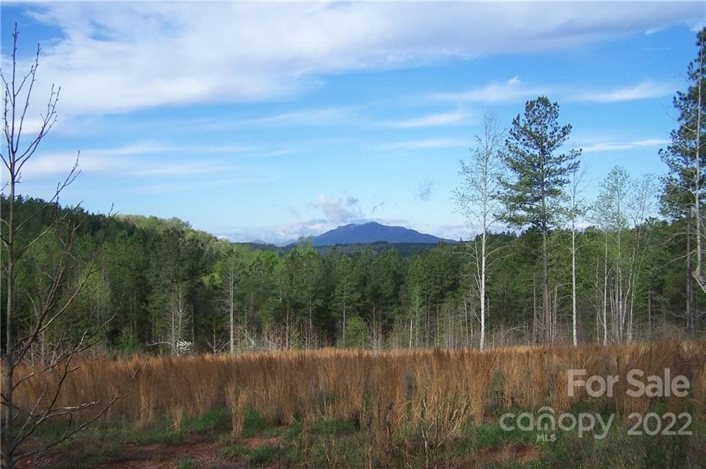 Mill Spring Land For Sale