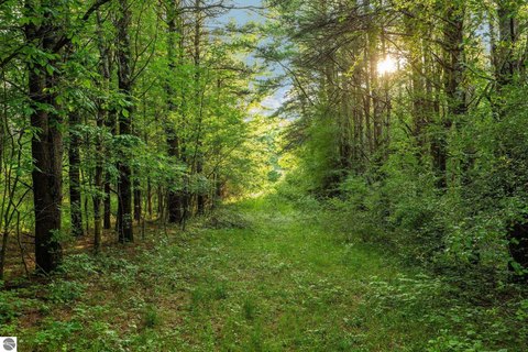 Vacant Lot/Land, Northport, MI