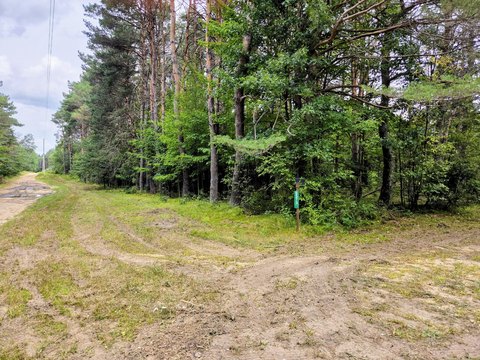 Land, Grayling, MI