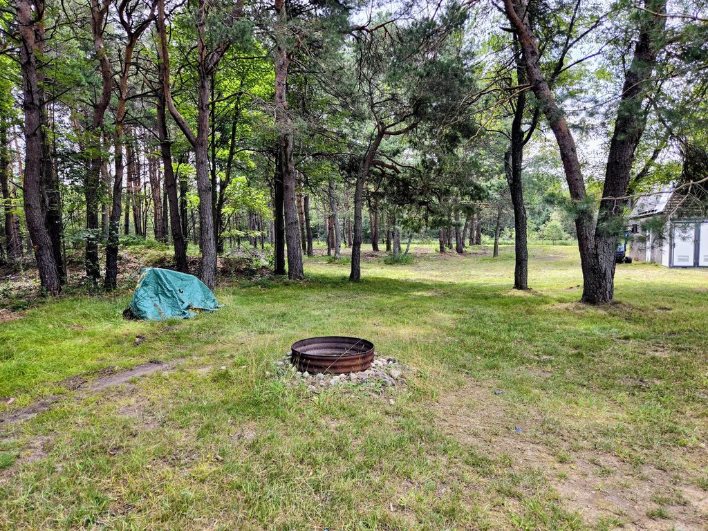 Picture 30