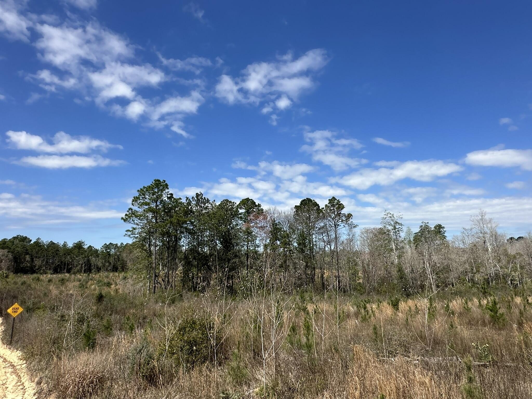 Caryville, FL Land Opportunity