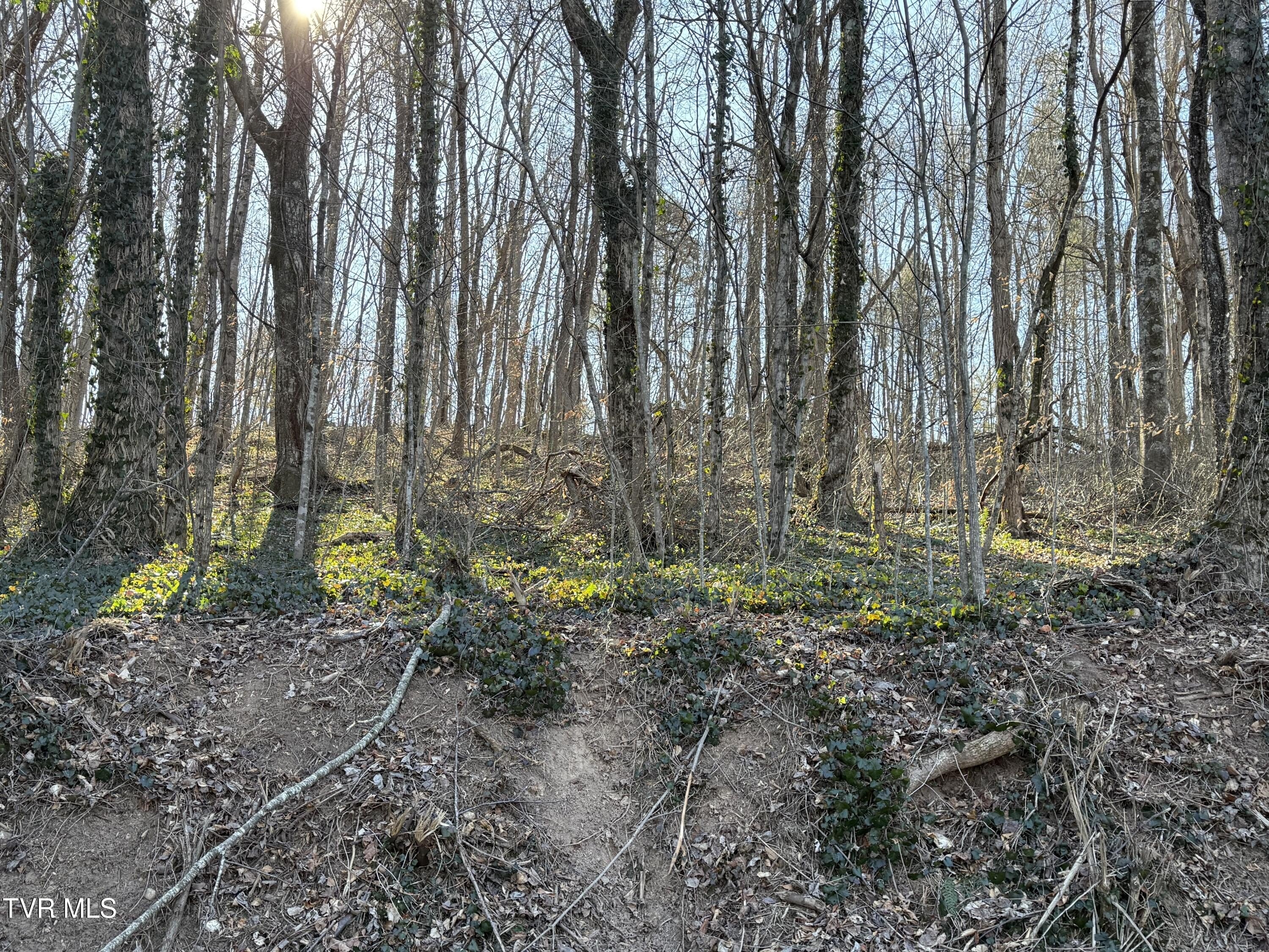 Unrestricted Acreage in Elizabethton, TN