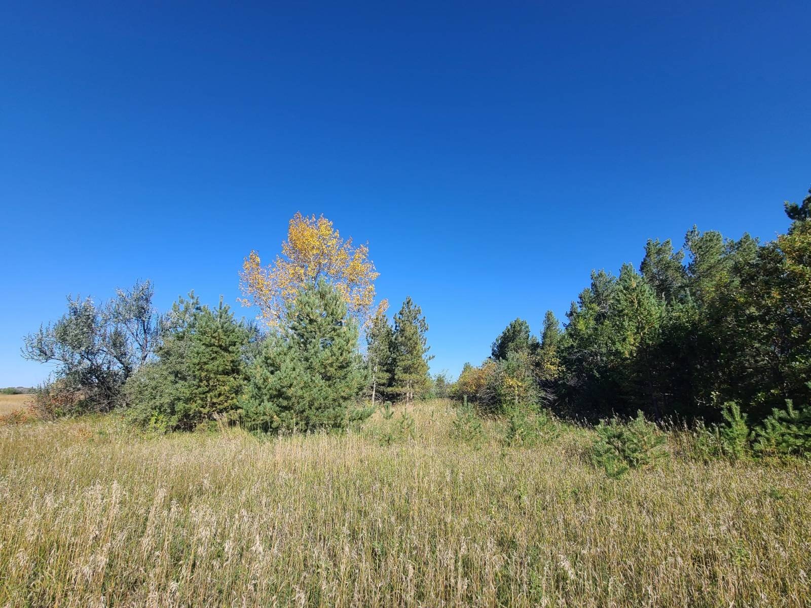 Residential Land in Bottineau, ND