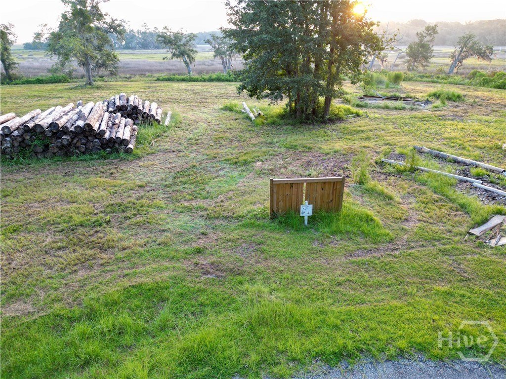 Picture 4