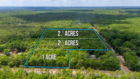 Versatile Land Parcel in Crestview