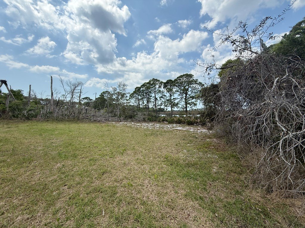 Picture 4