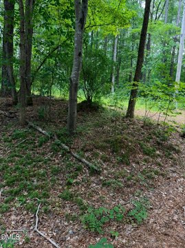LAND - Chapel Hill, NC