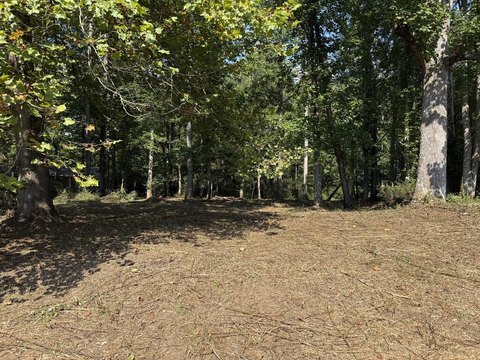 Creekfront Vacant Lot in Hayesville