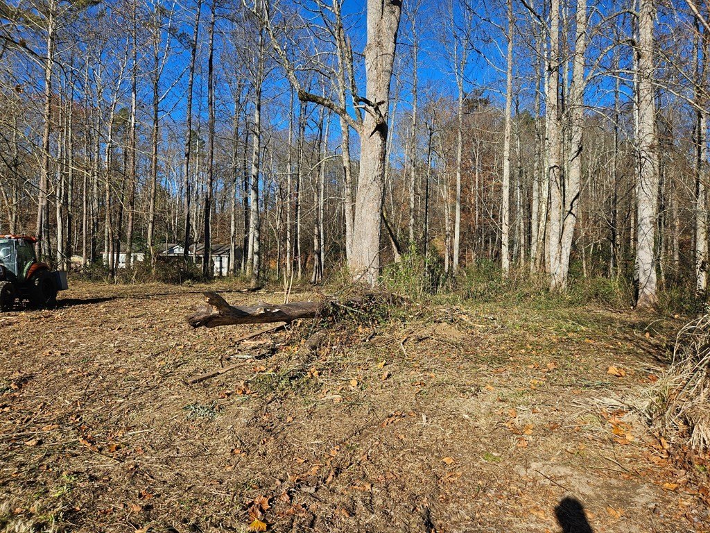 Picture 9