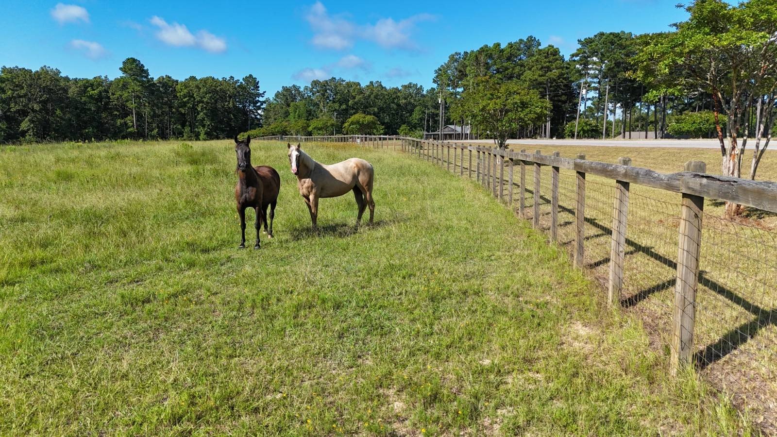 Grayson, LA Pastureland Homesite