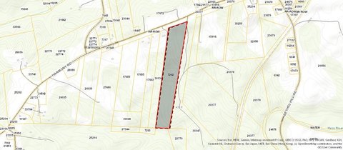 23.9 Acres of Wooded Land