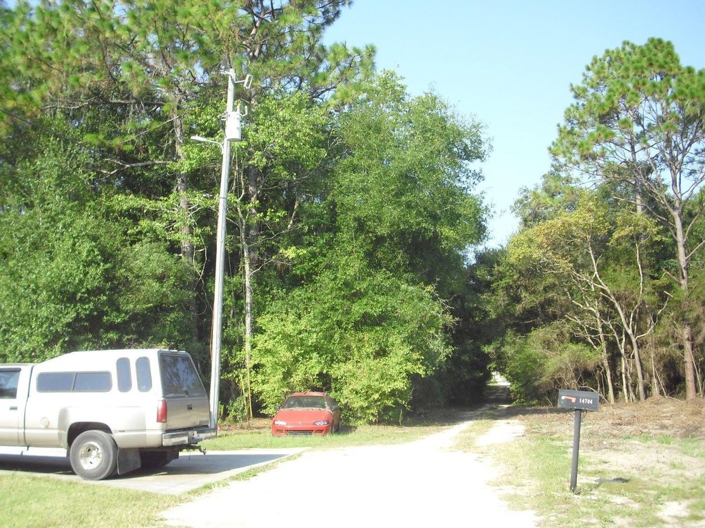 Picture 16