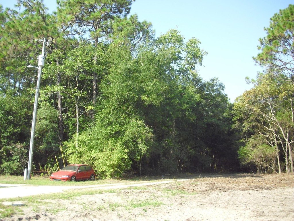 Picture 20