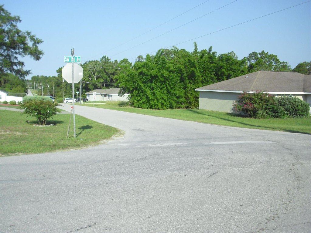 Picture 5