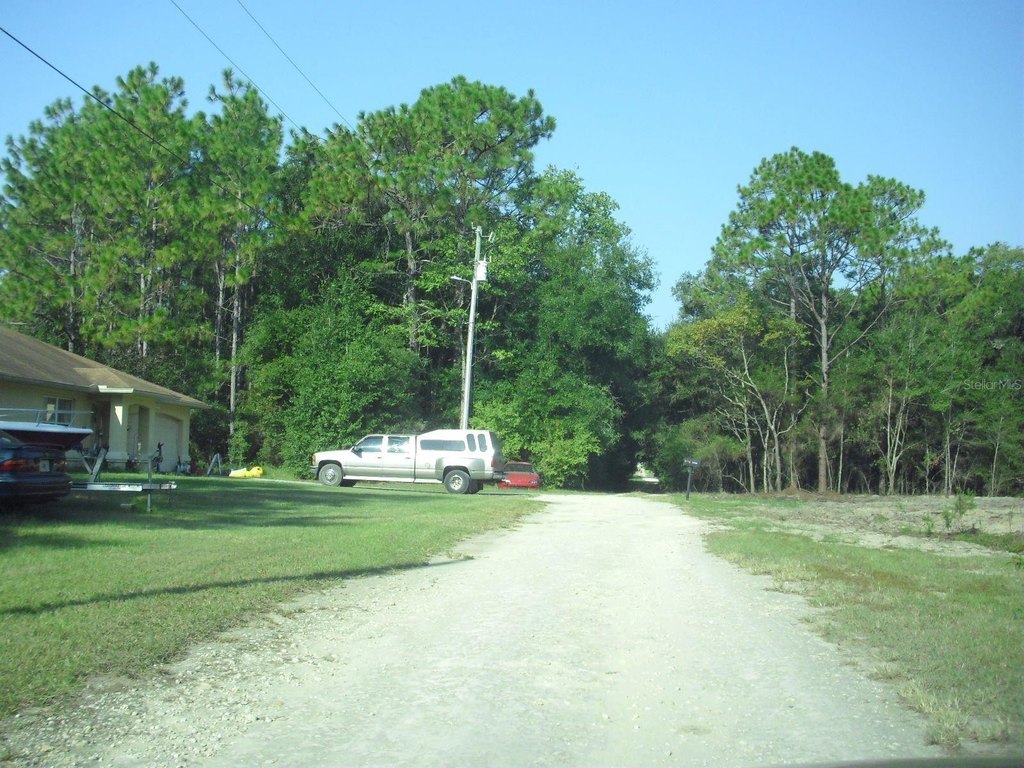 Picture 14