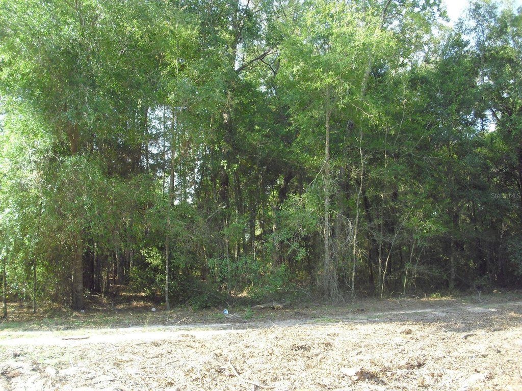 Picture 21