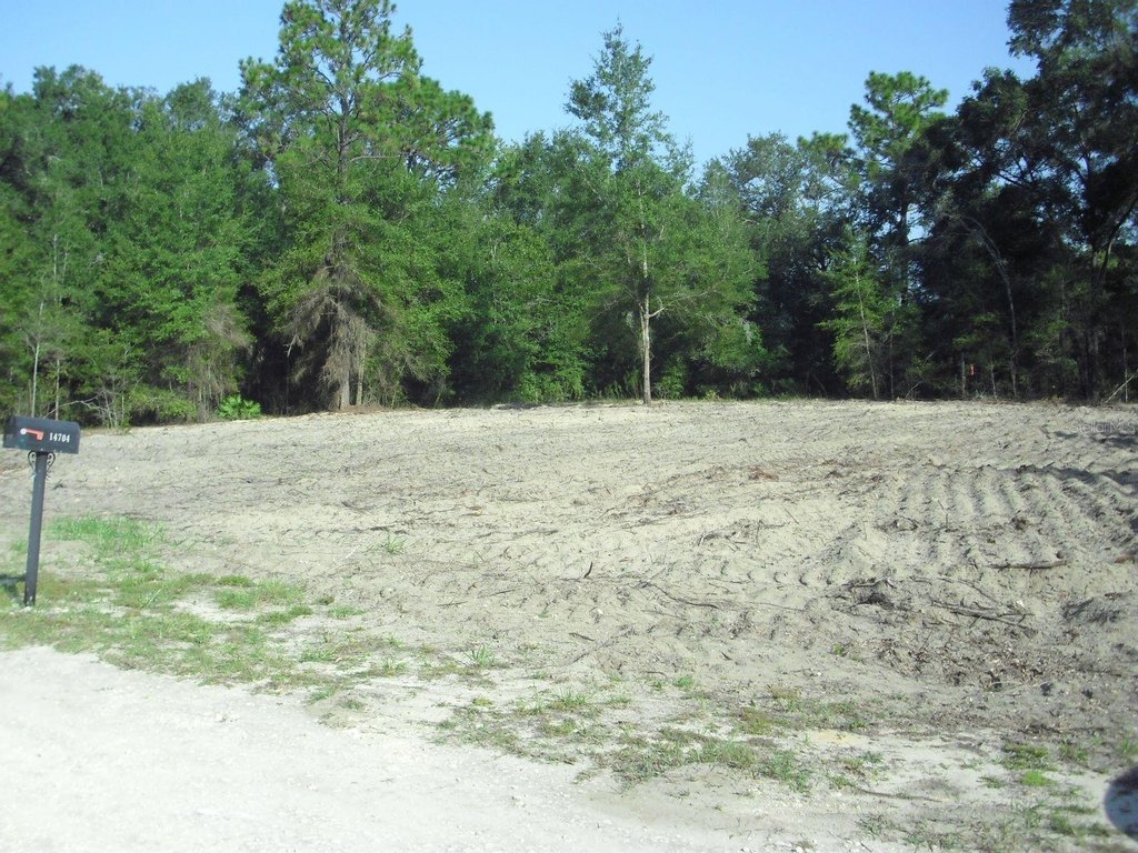 Picture 17