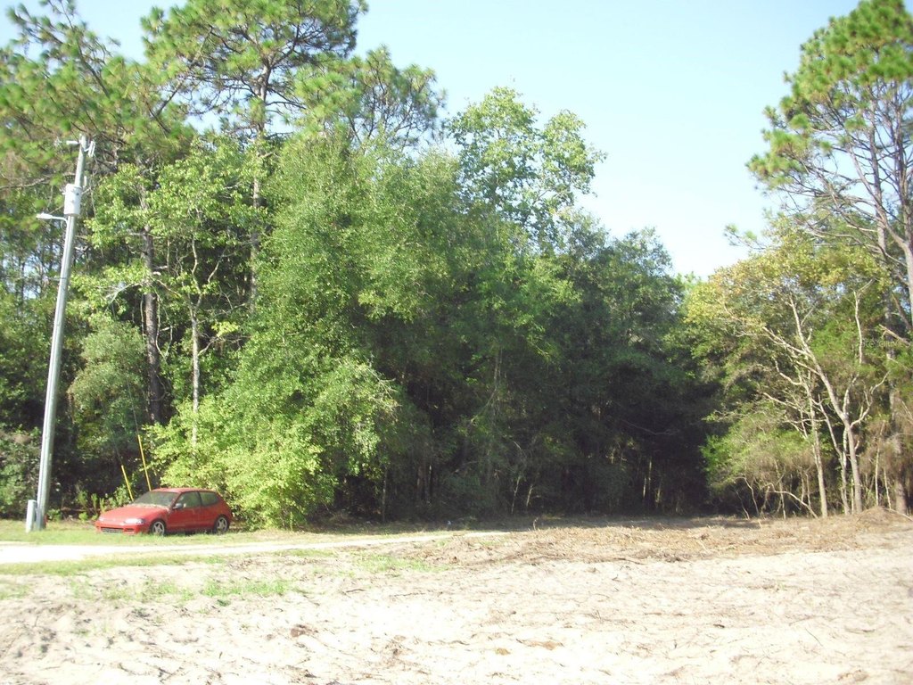Picture 19