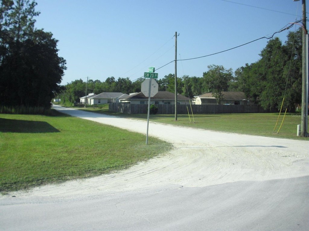 Picture 8