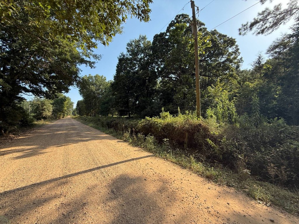 Picture 26