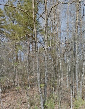 Vacant Land, Pine Bluff, AR