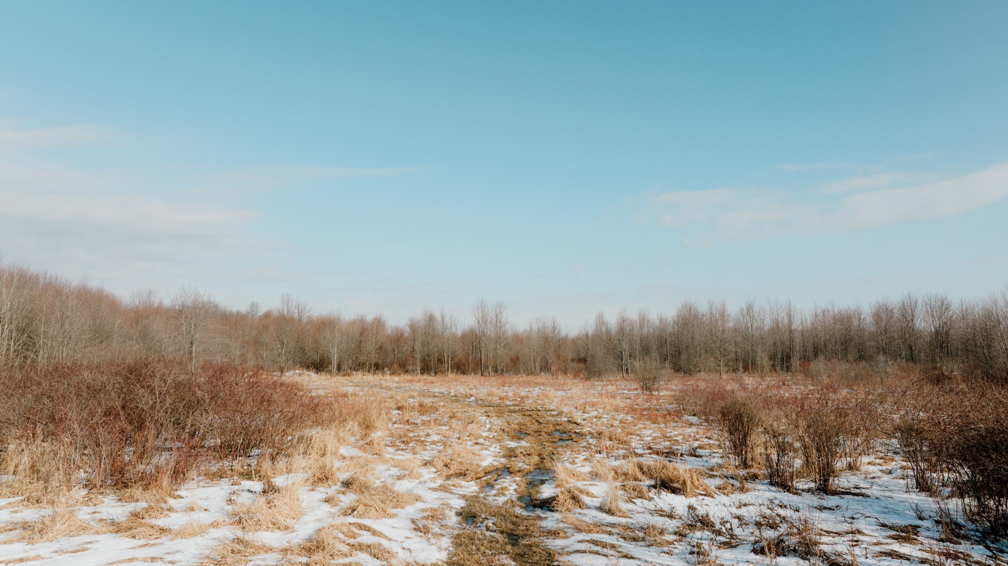 25+ Acre Cranesville Land Parcel