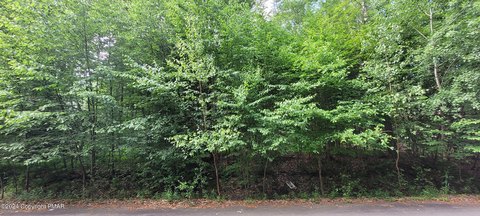 Lake Harmony Land Opportunity