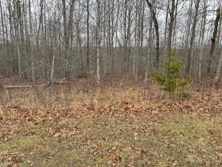 Residential Land in Quiet Area