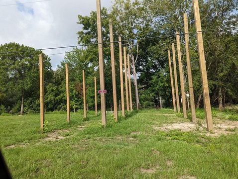 Land Near Trinity River