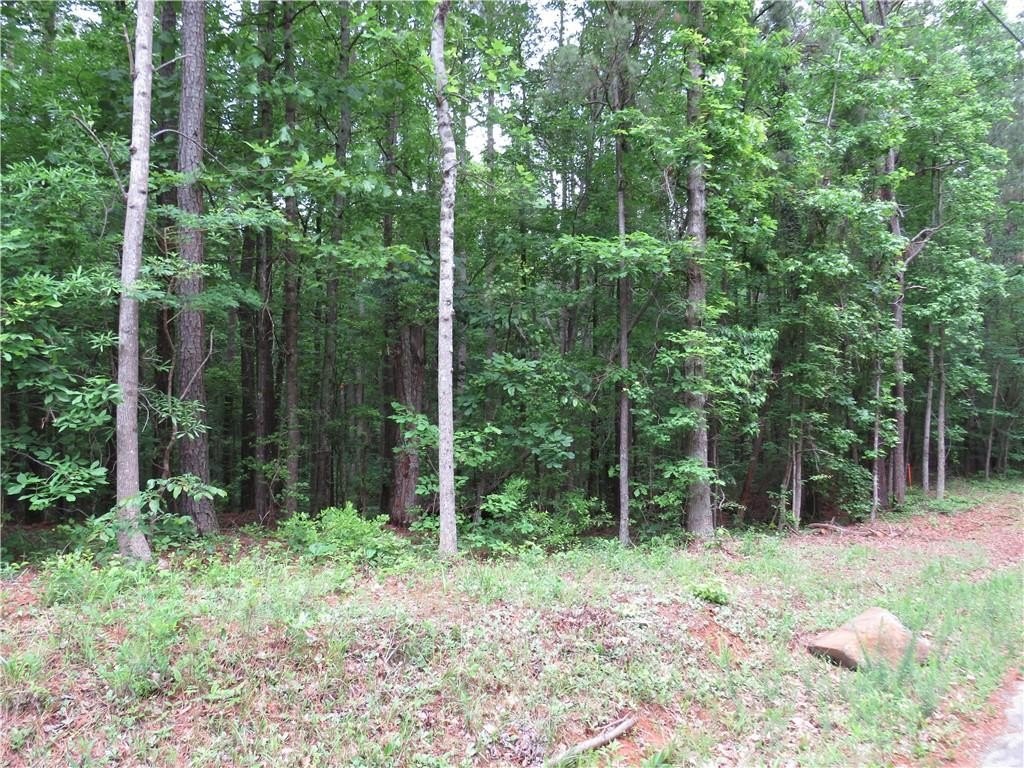Residential Land in Dallas, GA