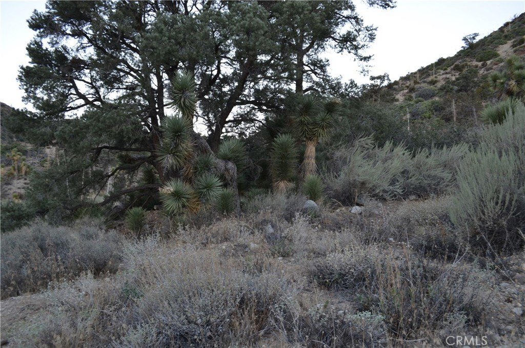 Picture 2