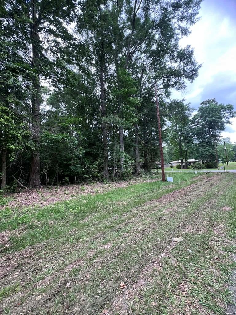 Wooded Lots in Jasper, TX