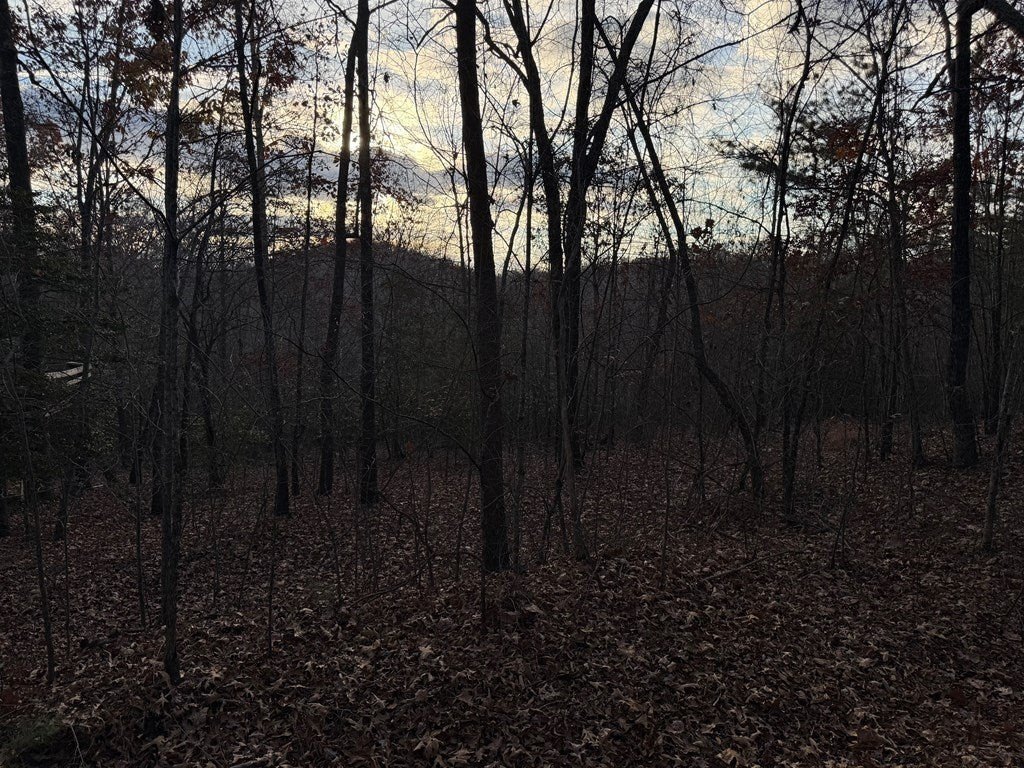 Picture 5
