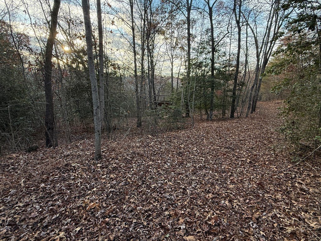 Picture 3
