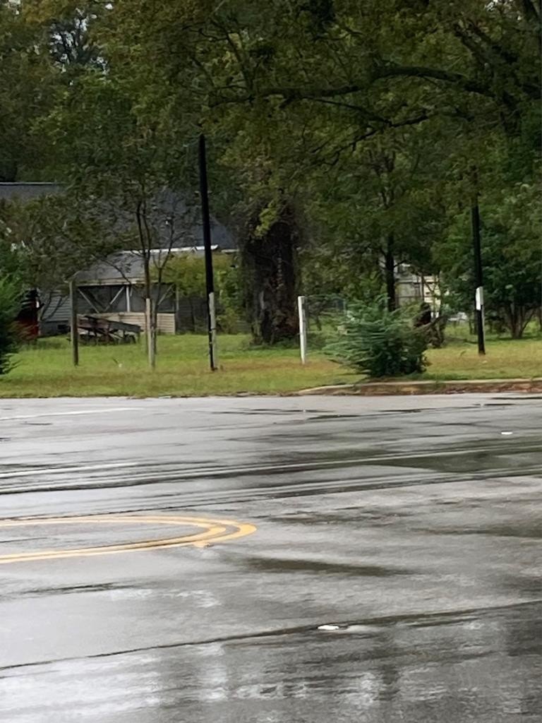 Commercial Land in Manning, SC