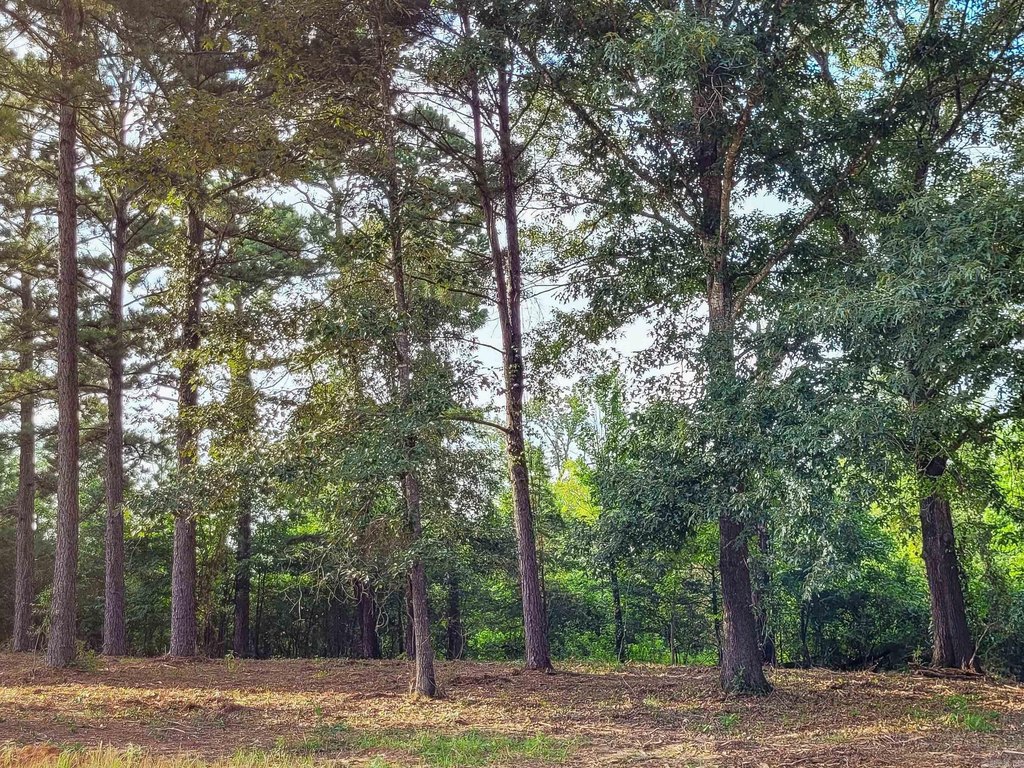 Picture 19